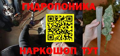 винт Шелехов