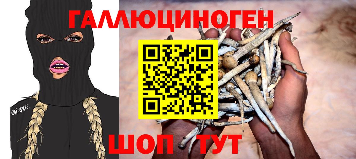 Псилоцибиновые грибы Magic Shrooms  Вход с VPN  Галлюциногенные грибы GOLDEN TEACHER  Белово 
